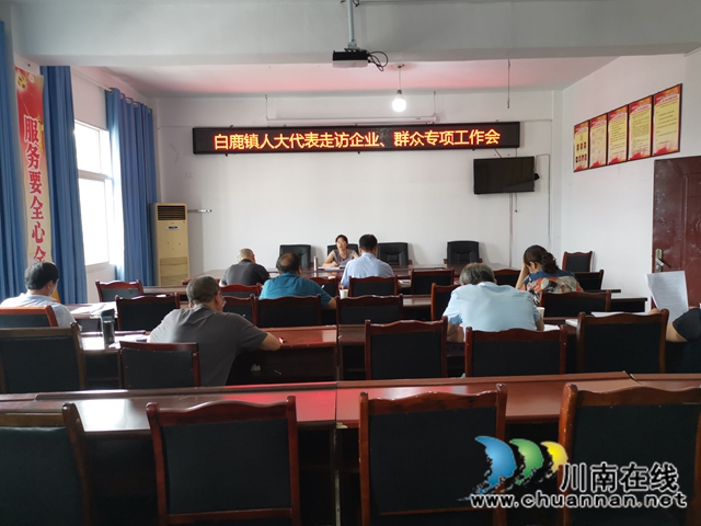 蒲德容组织代表深入合江县白鹿镇企业、群众调研走访