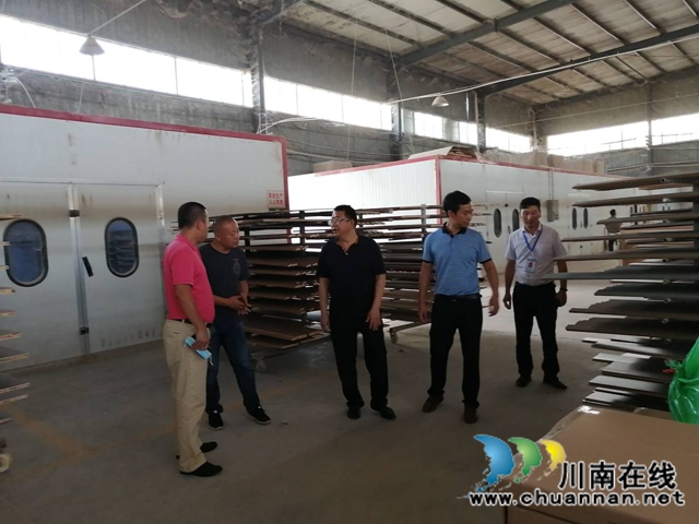 蒲德容组织代表深入合江县白鹿镇企业、群众调研走访(图4)