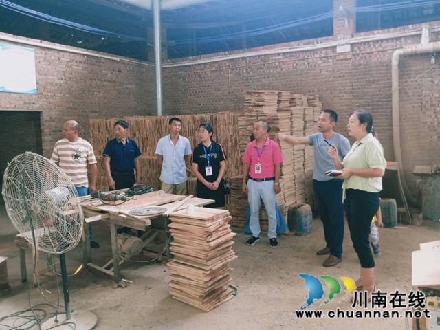 蒲德容组织代表深入合江县白鹿镇企业、群众调研走访(图3)