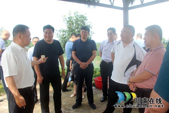 泸州市政协宜居乡村建设调研组到纳溪调研拂羽茶叶公司