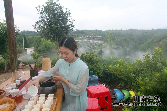 泸州市政协宜居乡村建设调研组到纳溪调研拂羽茶叶公司(图3)