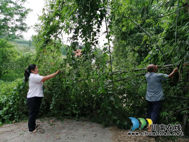 内江：网巡路遇“拦路虎”，社区“格格”急处理