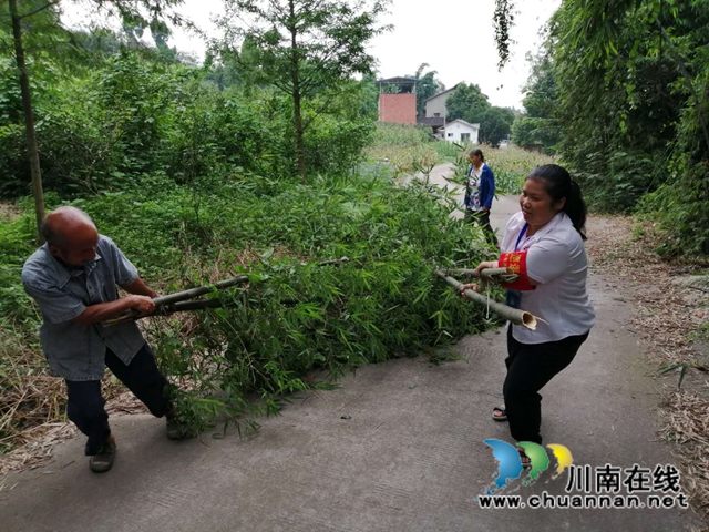 内江：网巡路遇“拦路虎”，社区“格格”急处理(图2)