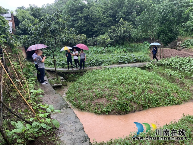 龙马潭区莲花池街道：扎实开展防汛工作，确保居民汛期安全(图2)