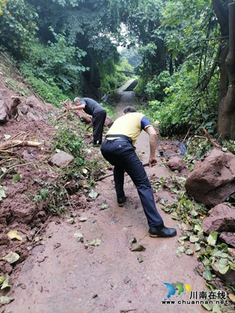 龙马潭区莲花池街道：扎实开展防汛工作，确保居民汛期安全