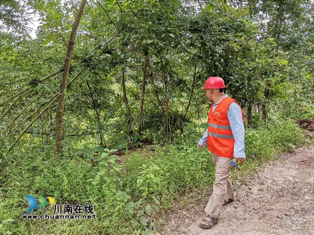 合江石龙镇：多措并举，严守森林防火“安全关”(图3)