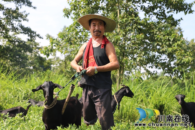 泸县玉蟾街道：五保户依靠勤劳度困难