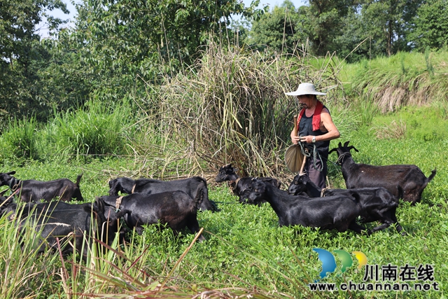 泸县玉蟾街道：五保户依靠勤劳度困难(图2)