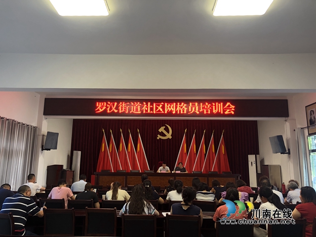 龙马潭区罗汉罗汉街道：网格员勤参与，在“小网格”里书写“大文章”