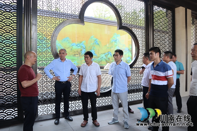 泸县云龙镇人大主席团组织开展调研视察活动(图3)