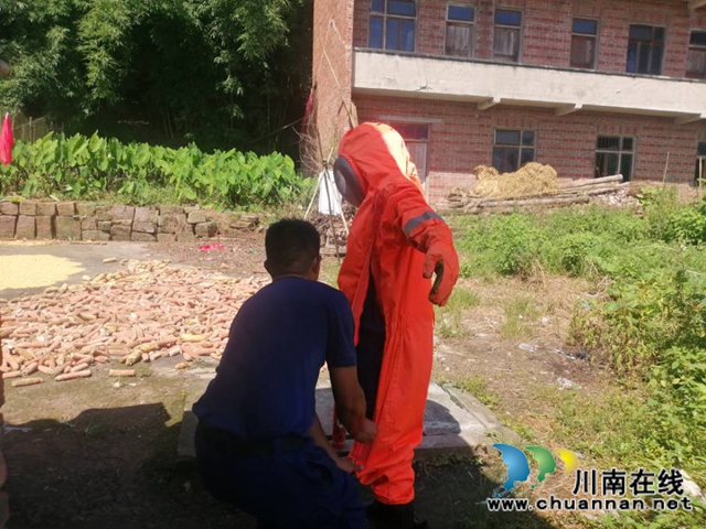 泸县应急救援大队石马五中队到立石镇开展“马蜂窝清剿”行动(图4)