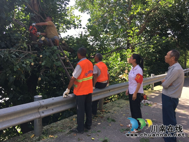 内江经开区靖民镇石坝村开展清理道路两旁树娅工作