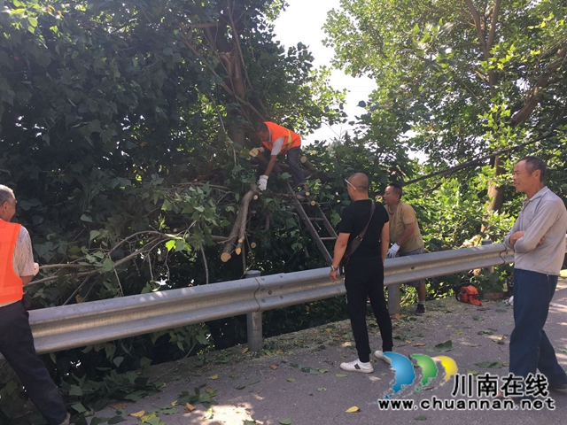 内江经开区靖民镇石坝村开展清理道路两旁树娅工作(图3)