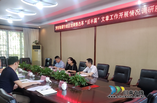 袁瑞调研指导龙马潭区罗汉街道行政区划调整改革“后半篇”工作