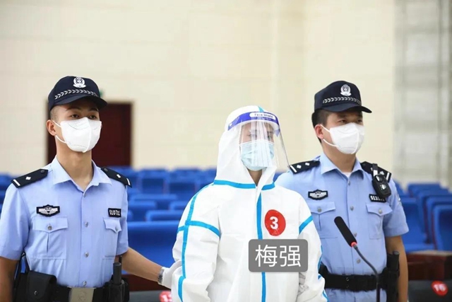龙马潭区人民法院：22人涉“黑恶”组织犯罪即将公开宣判！(图4)