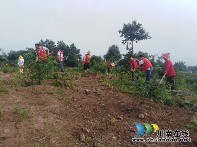 泸县玉蟾街道党员志愿服务队助力脱贫攻坚(图2)