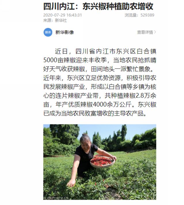 被新华社“相中”！内江这个“国”字号农产品红啦