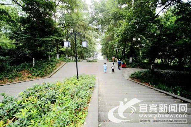 抢先看！宜宾“六山”保护提升工程