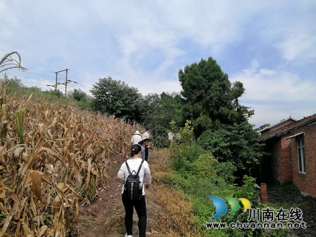 内江经开区靖民镇双塘村加强农村安全排查工作(图4)