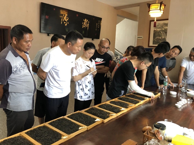 泸州市借智借力，提升红茶加工技术水平(图4)
