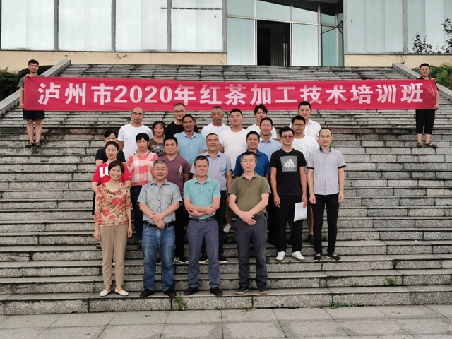 泸州市借智借力，提升红茶加工技术水平(图5)