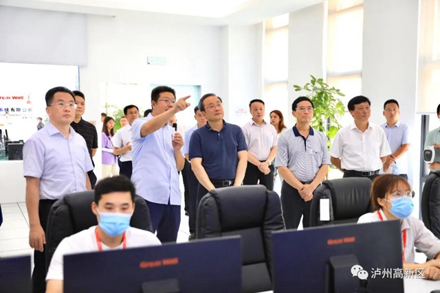 王宁莅临泸州国家高新区考察(图3)