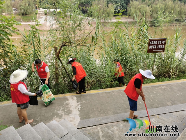 泸县玉蟾街道持续开展河长制巡查工作(图2)