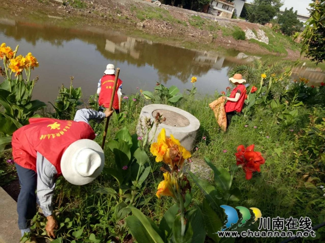 泸县玉蟾街道持续开展河长制巡查工作(图4)