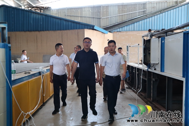 章磊到泸县云龙镇督导企业安全工作(图2)