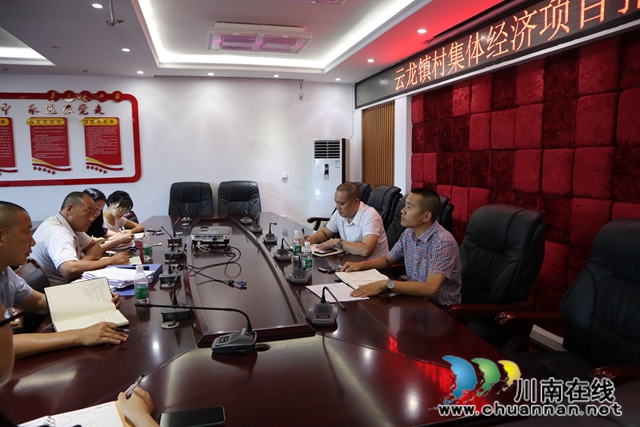 泸县云龙镇召开村集体经济项目推进会(图2)