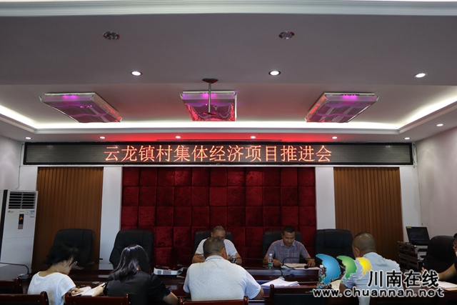 泸县云龙镇召开村集体经济项目推进会
