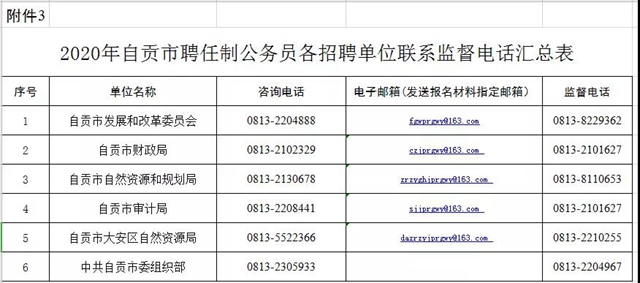年薪最高30万！自贡首次公开招聘5名聘任制公务员，有这些岗位……(图2)