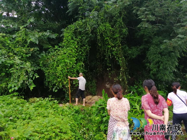 内江经开区靖民镇深入开展防洪防汛巡查工作(图4)