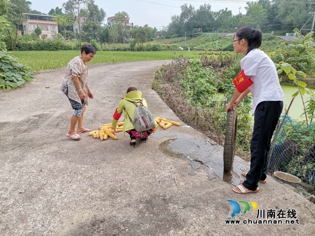 内江经开区靖民镇石坝村开展整治道路安全隐患活动