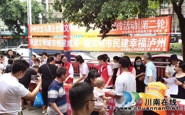 龙马潭区小市街道组织开展第二轮全国文明城市建设集中宣传活动(图4)