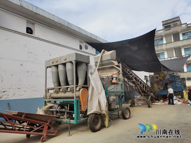 泸县全力做好夏粮收储工作(图3)