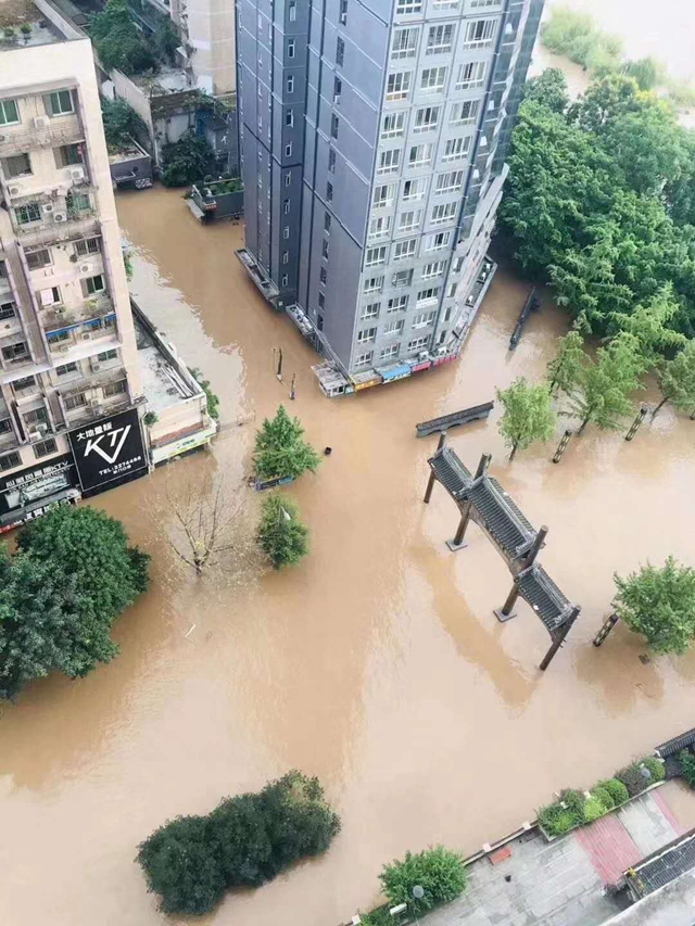 紧急转移52098人 泸州积极应对“8.19”长江洪峰过境(图2)