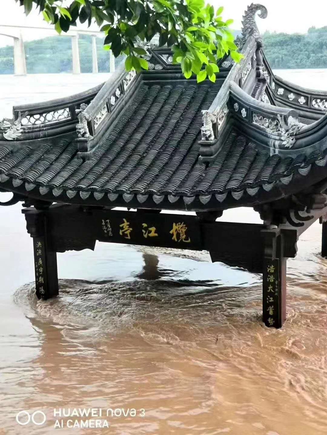 紧急转移52098人 泸州积极应对“8.19”长江洪峰过境(图4)