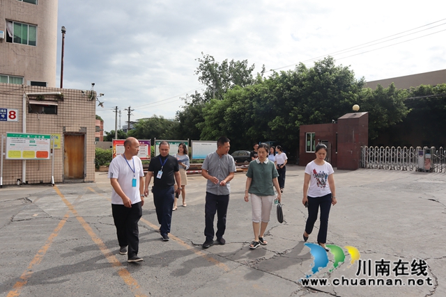 泸州市纪委到泸县云龙镇调研森林防火和企业安全(图3)