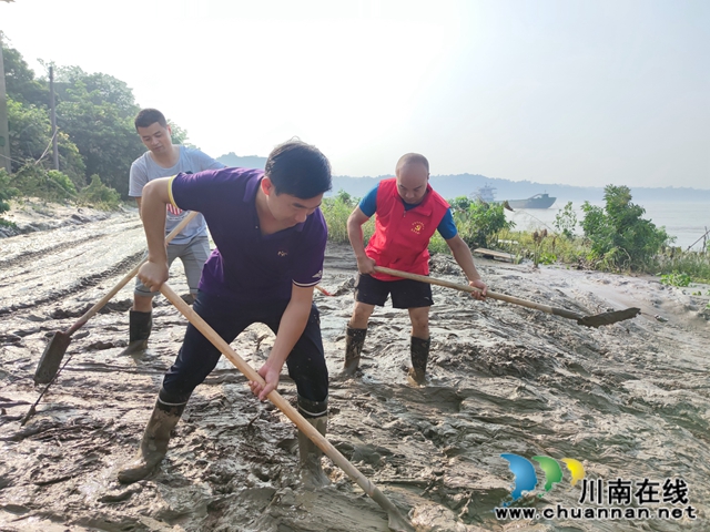 泸县太伏镇：连续作战 清淤在行动(图2)