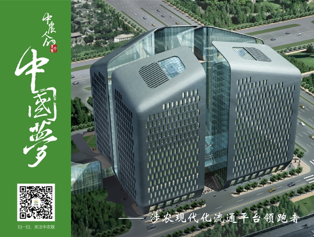 “超级菜篮”辐射西南，内江这个“宝藏区域”藏不住了！(图10)