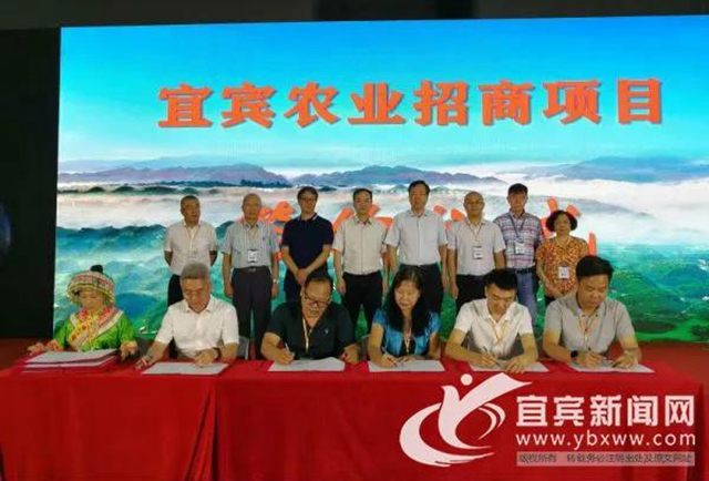 宜宾加快融入粤港澳大湾区“菜篮子”“朋友圈”