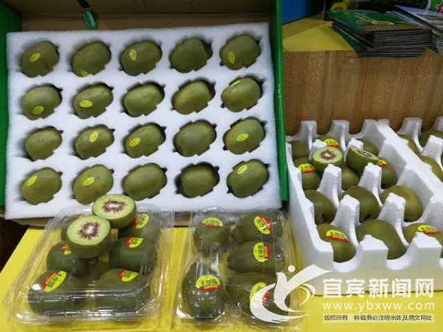 宜宾加快融入粤港澳大湾区“菜篮子”“朋友圈”(图4)