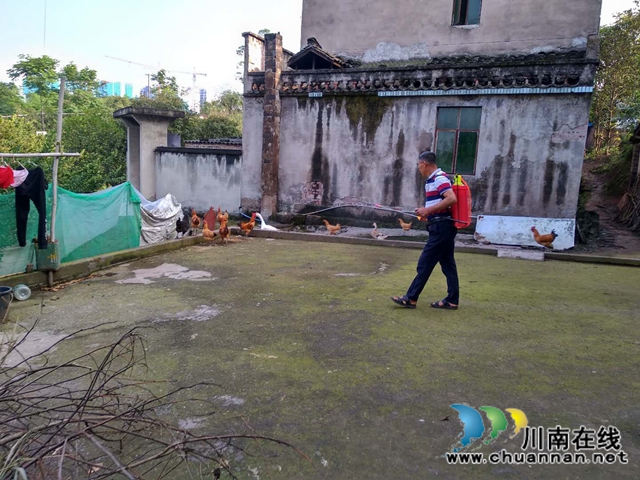 泸县玉蟾街道开展夏季重大动物疫病防控全覆盖消毒工作