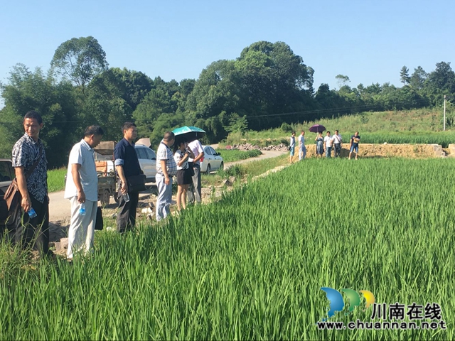 扎实做好基层工作，合江县白米镇有妙招