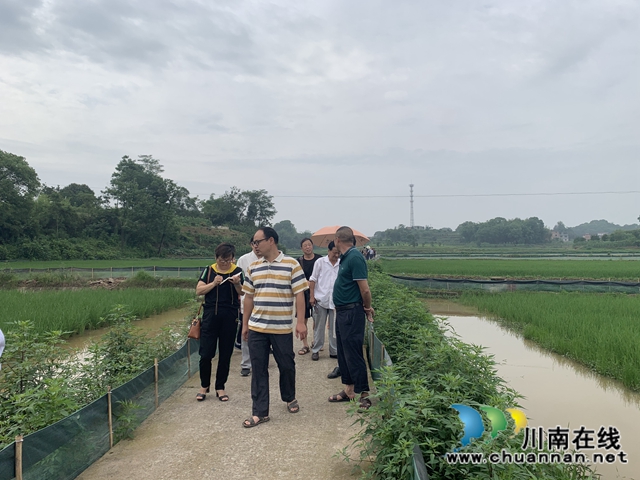 扎实做好基层工作，合江县白米镇有妙招(图2)