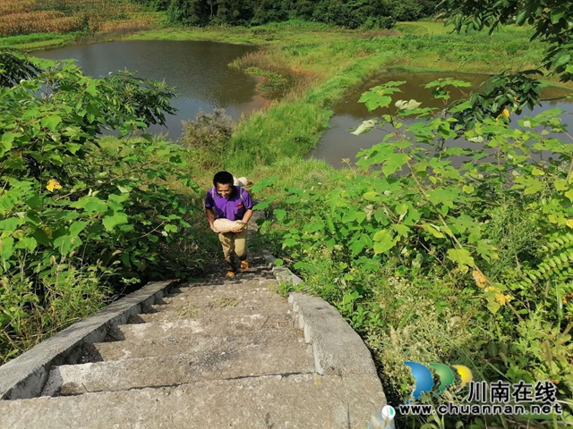 泸县立石镇普照村：扶贫产业园南瓜喜获丰收，贫困户笑开颜(图2)
