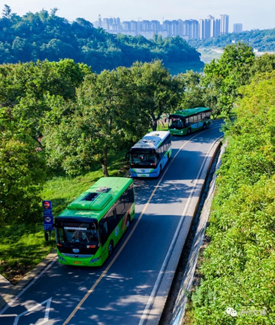 泸州已建成公交专用道115.2公里，新增末端公共配送站100个(图6)