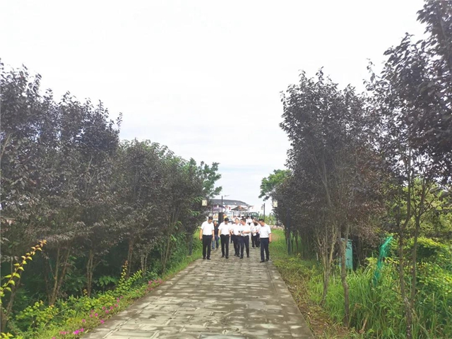 同城！同城！内江自贡“伙到”一次耍完！真的要实现了(图2)