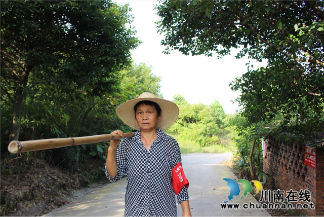 泸县玉蟾街道持续开展森林防灭火及秸秆禁烧巡查(图2)